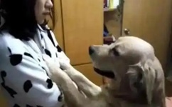 中文字幕精品亚洲字幕资源网